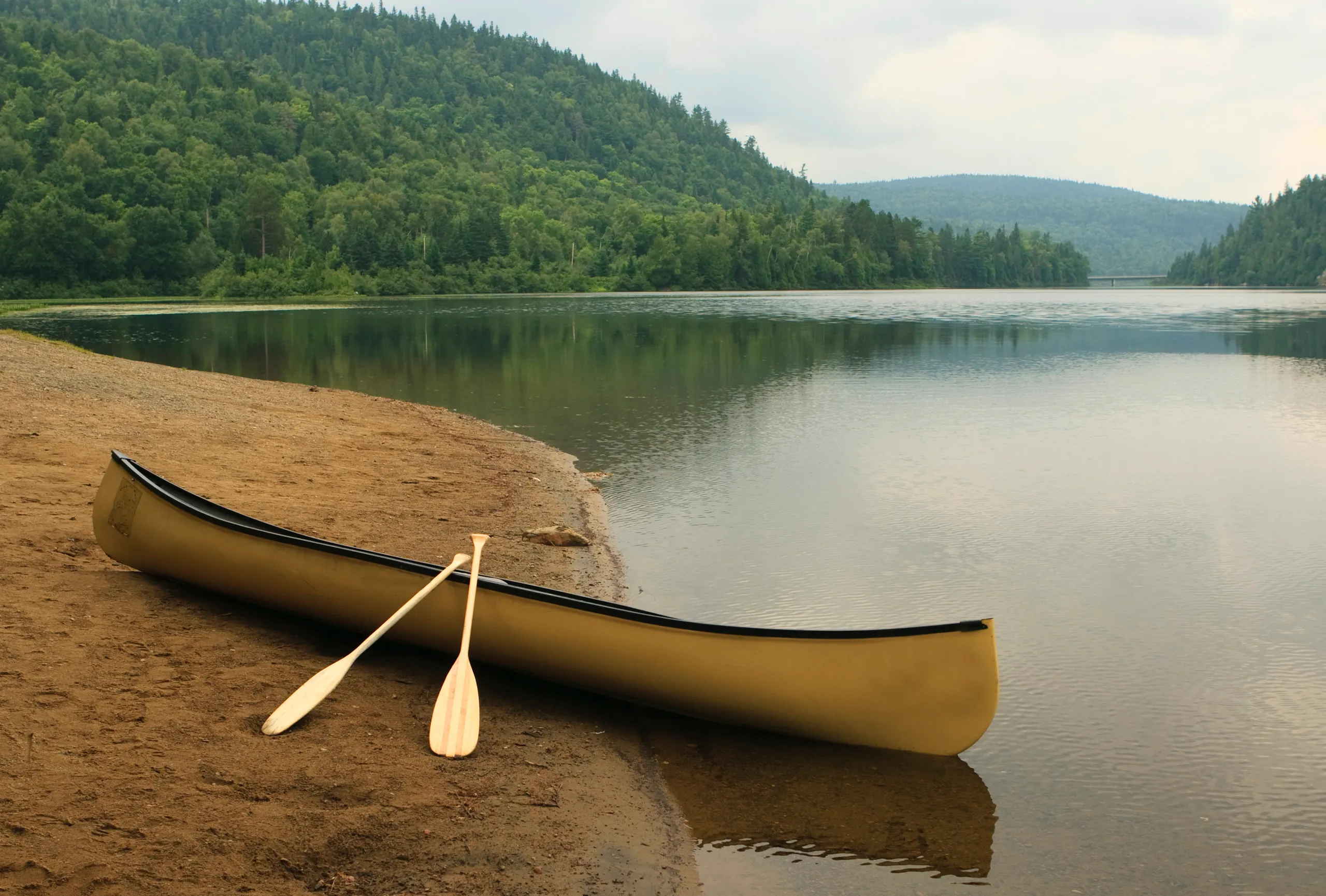A canoe and paddles resting on a quiet lakeshore.