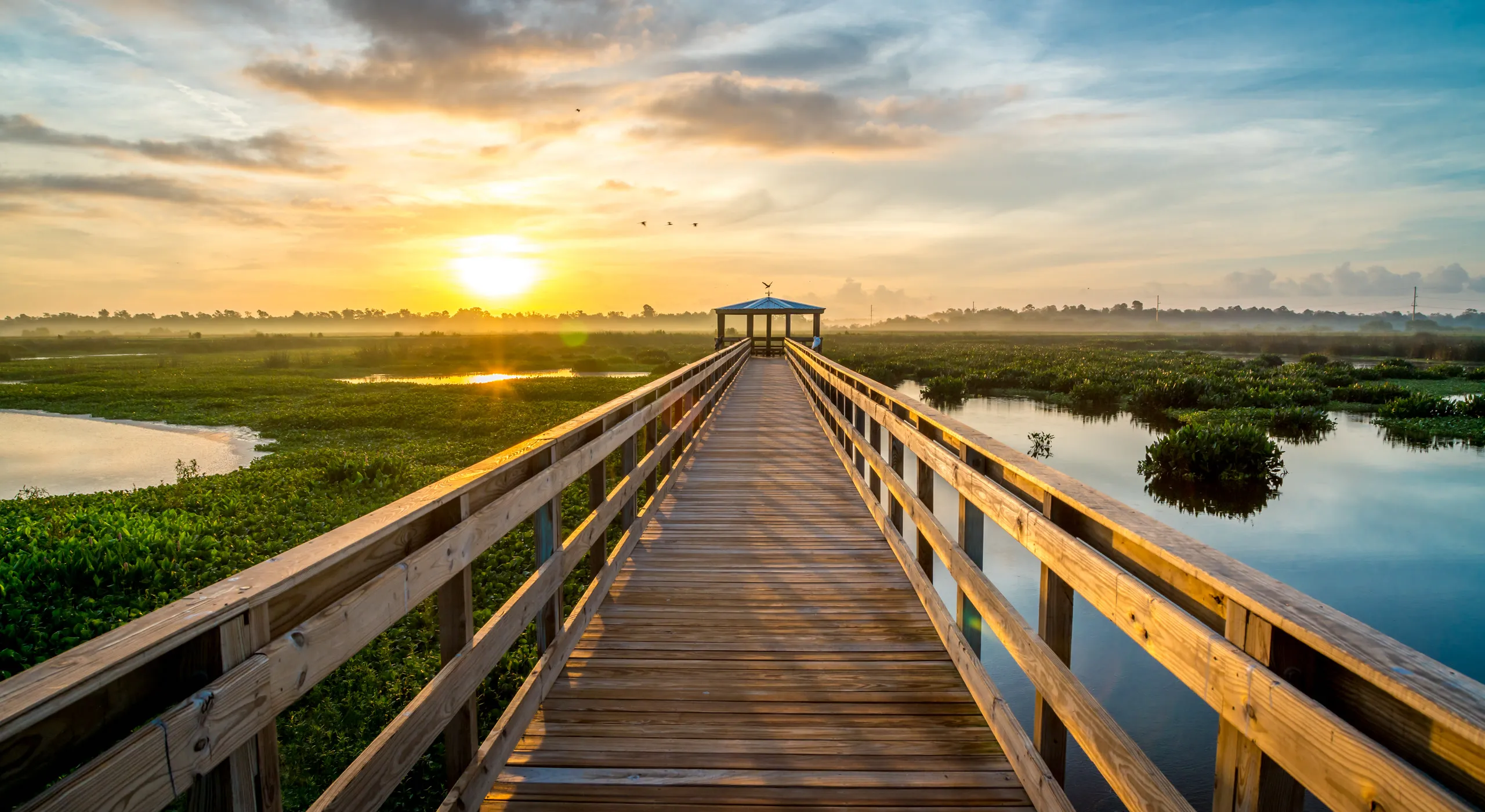 A wooden boardwalk crossing wetlands at sunset.